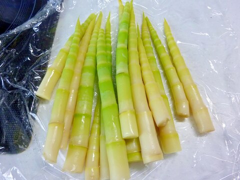 春の山菜♪ 笹たけのこの下処理方法